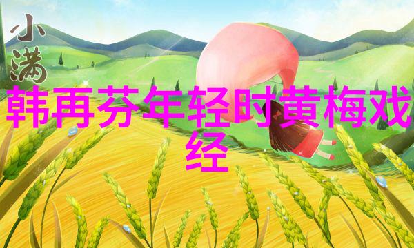 黄梅戏天仙配