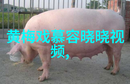 黄梅戏演员赵长玖介绍