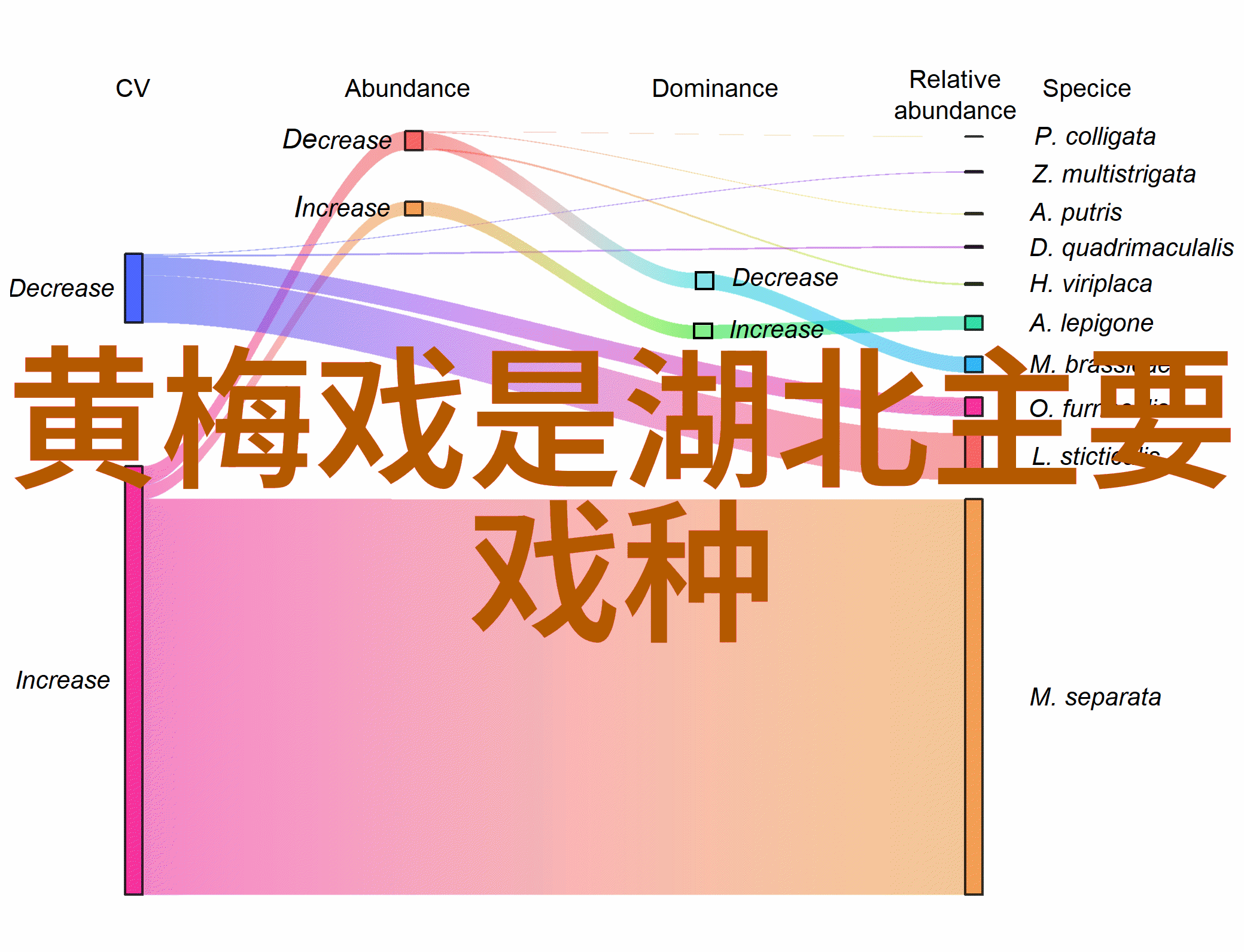 大型现代黄梅戏百鸟朝凤正式建组