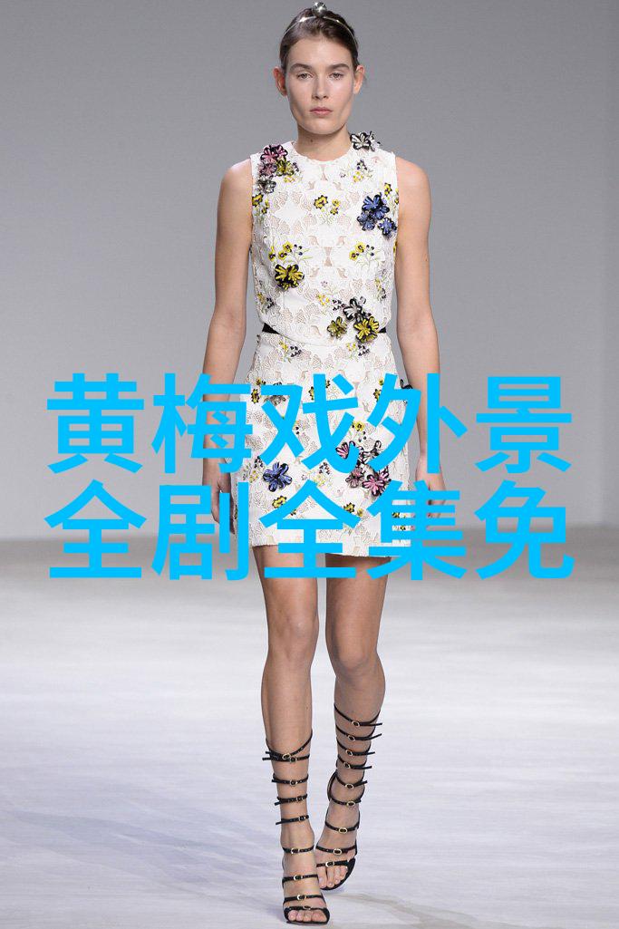 黄梅戏君子好逑