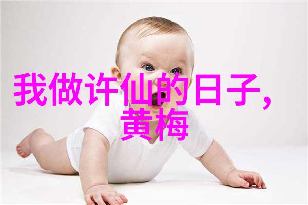 新创黄梅戏青山鉴慰问市民