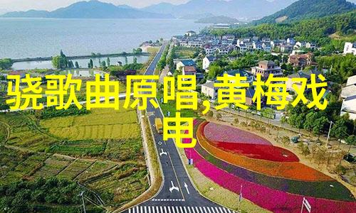 黄梅戏剧种简介