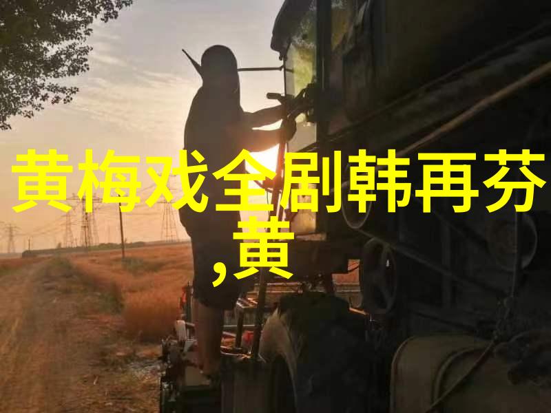 黄梅戏演员王莹介绍
