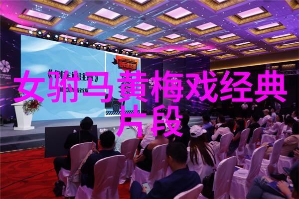 黄梅戏状元女与博士郎