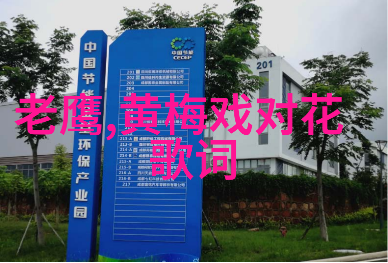 黄梅戏贵妃恩怨